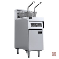 ELEKTRO FRITEUSE 2X 12,5L